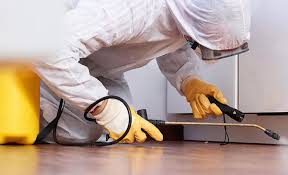 Emergency Pest Control in Elmira Heights, NY